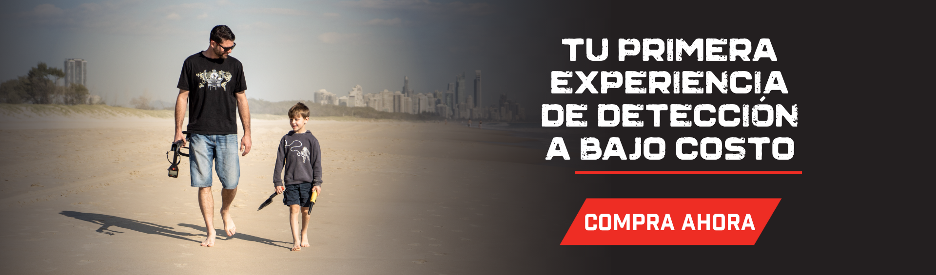 Detectores a bajo costo
