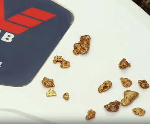 Detecta oro en grande