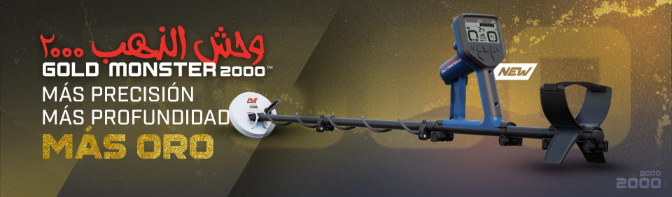 Banner GM2000 DICIEMBRE 2025